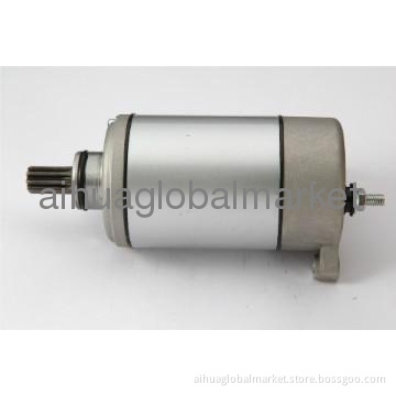 HS800CC ATV/UTV STARTING MOTOR